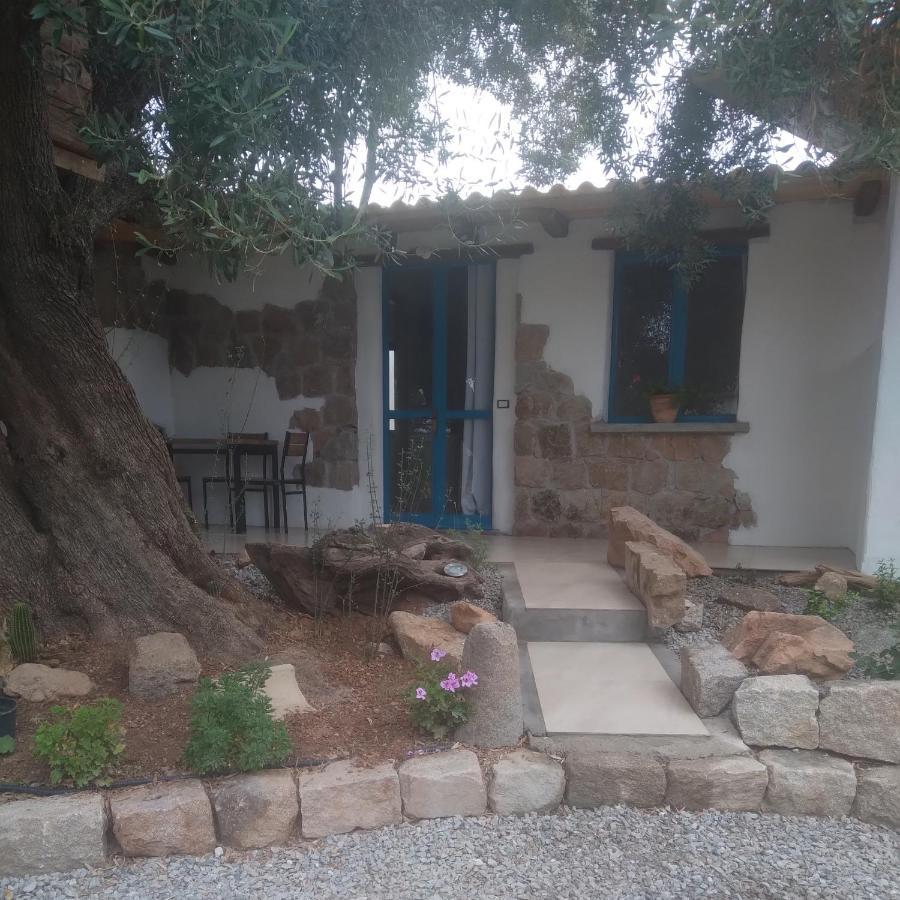 Sole In Ogliastra Bed and Breakfast Jerzu Buitenkant foto