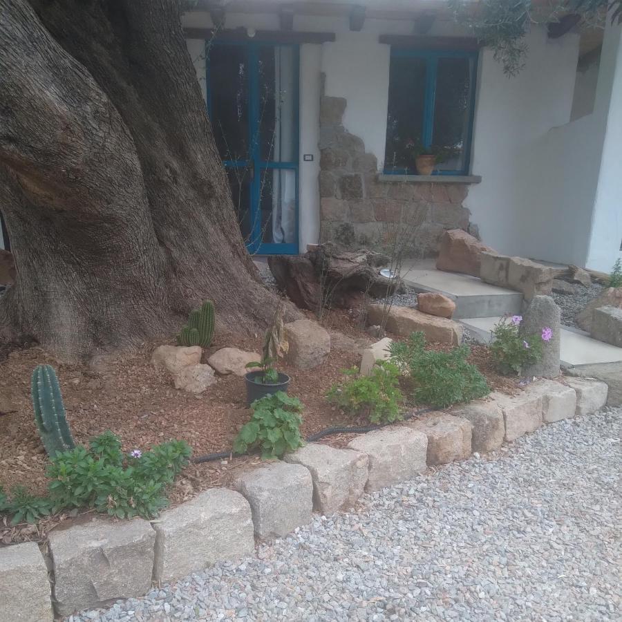 Sole In Ogliastra Bed and Breakfast Jerzu Buitenkant foto